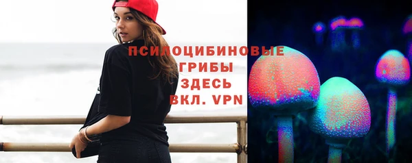 ПСИЛОЦИБИНОВЫЕ ГРИБЫ Мегион