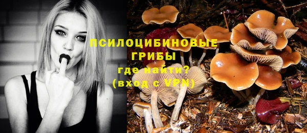 дмт Медногорск