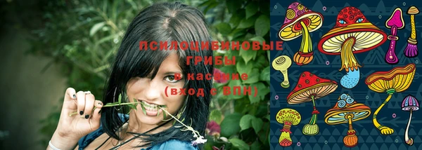 прущая мука Медвежьегорск