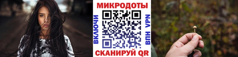 Купить где  Зеленоградск  Галлюциногенные грибы Cubensis 